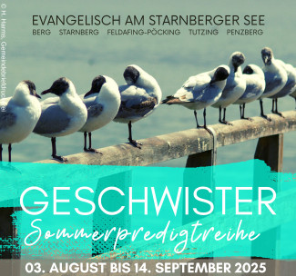Möven auf einer Stange am Wasser